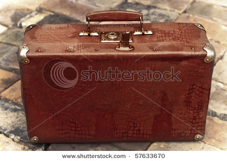 Brown Luggage